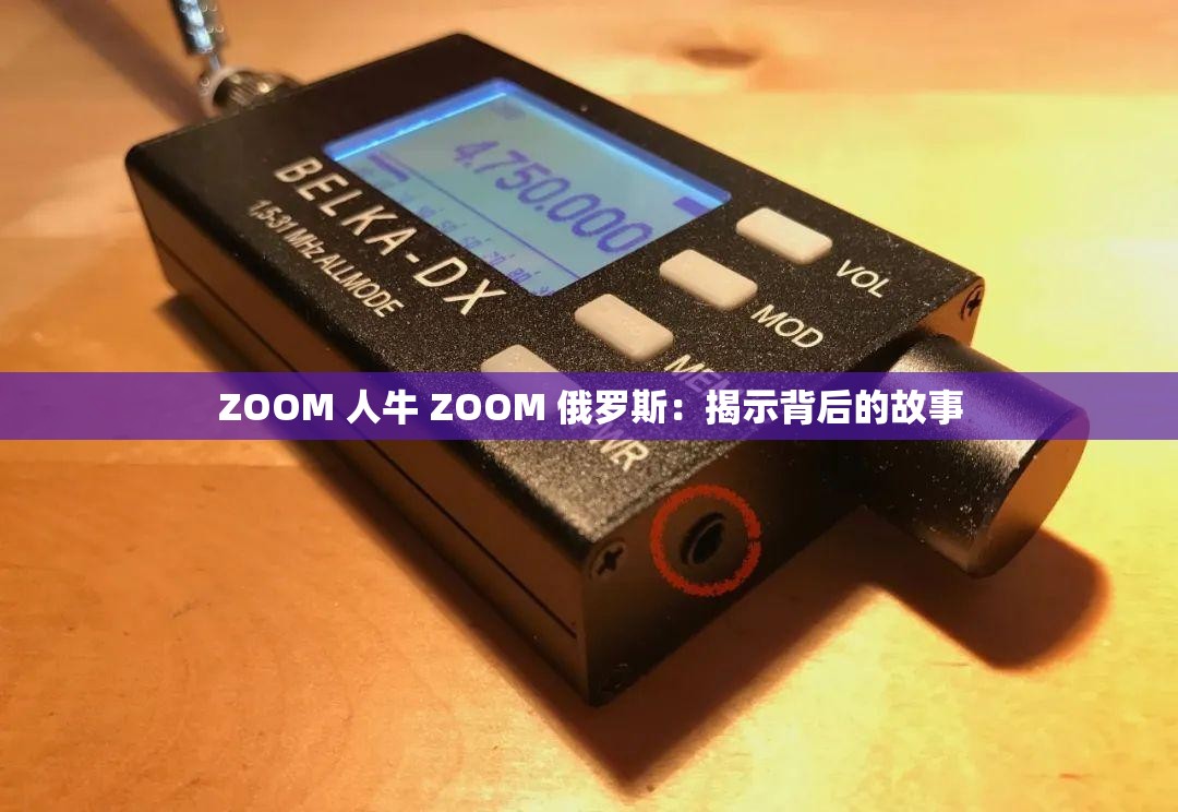 ZOOM 人牛 ZOOM 俄罗斯：揭示背后的故事