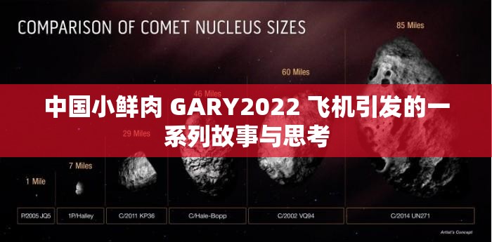 中国小鲜肉 GARY2022 飞机引发的一系列故事与思考