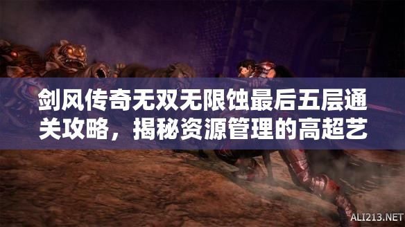 剑风传奇无双无限蚀最后五层通关攻略，揭秘资源管理的高超艺术