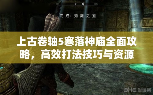 上古卷轴5寒落神庙全面攻略，高效打法技巧与资源管理策略详解