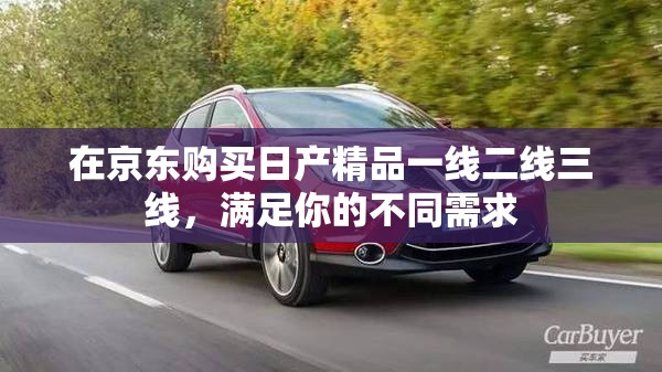 在京东购买日产精品一线二线三线，满足你的不同需求