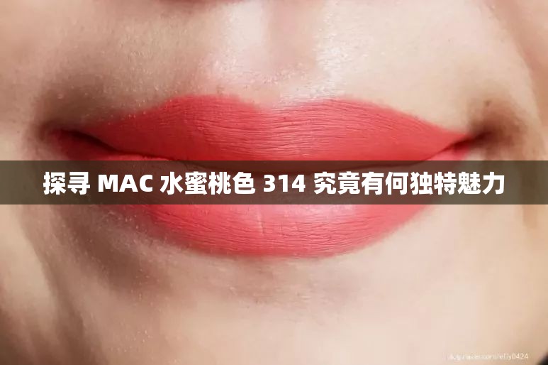 探寻 MAC 水蜜桃色 314 究竟有何独特魅力