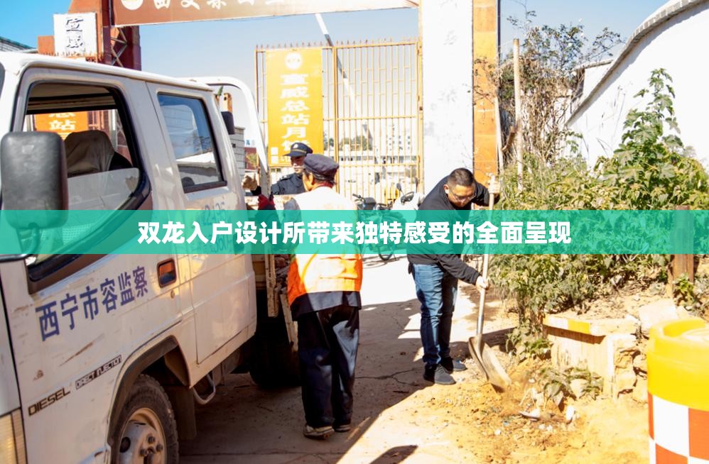 双龙入户设计所带来独特感受的全面呈现