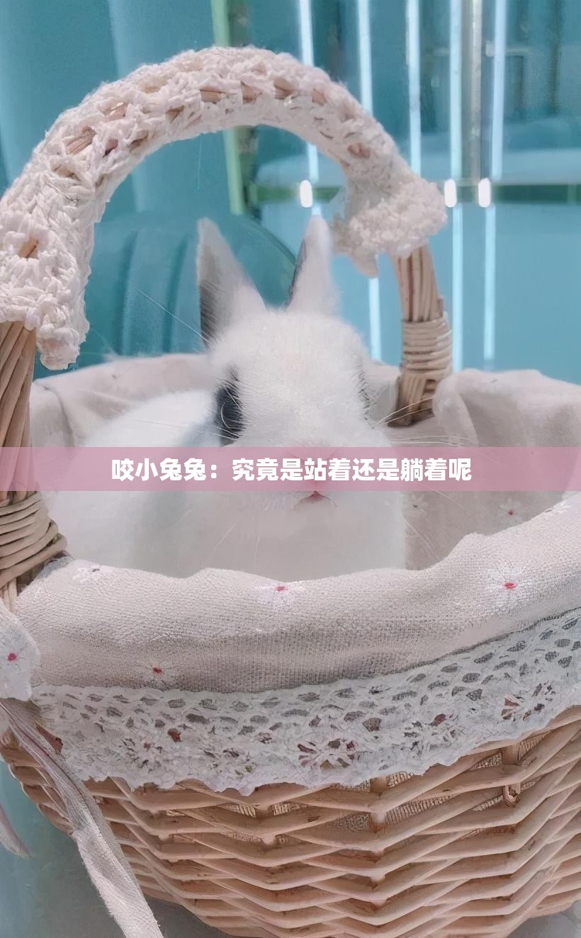 咬小兔兔：究竟是站着还是躺着呢