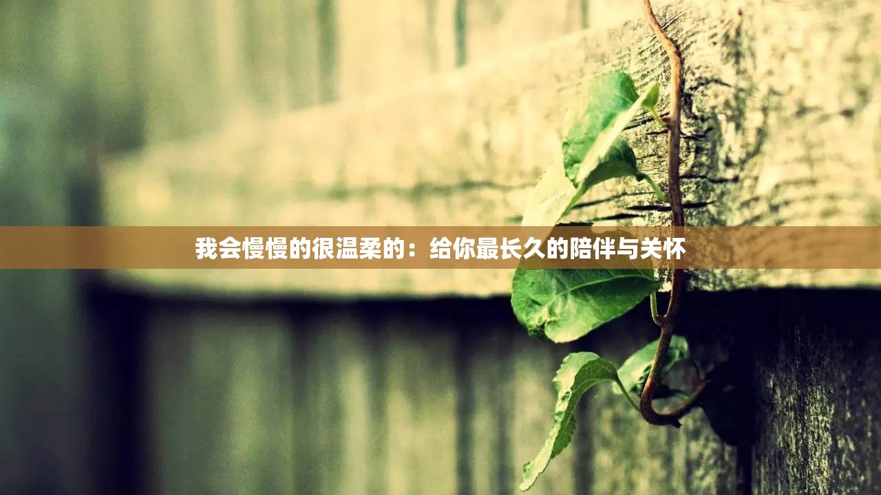 我会慢慢的很温柔的：给你最长久的陪伴与关怀