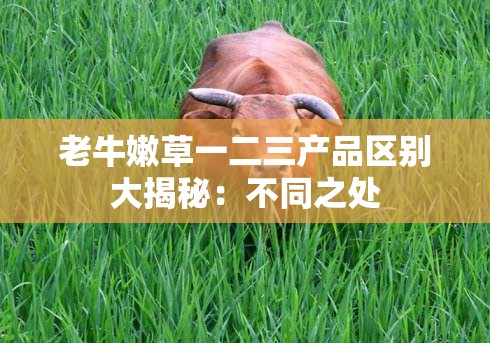 老牛嫩草一二三产品区别大揭秘：不同之处