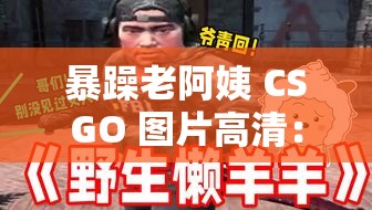 暴躁老阿姨 CSGO 图片高清：热血竞技的魅力展现