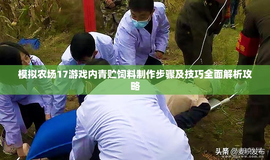 模拟农场17游戏内青贮饲料制作步骤及技巧全面解析攻略