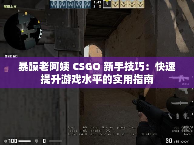 暴躁老阿姨 CSGO 新手技巧：快速提升游戏水平的实用指南
