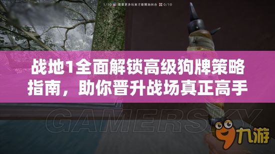战地1全面解锁高级狗牌策略指南，助你晋升战场真正高手的必备攻略