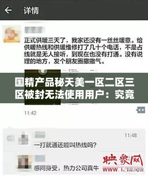 国精产品秘天美一区二区三区被封无法使用用户：究竟为何如此