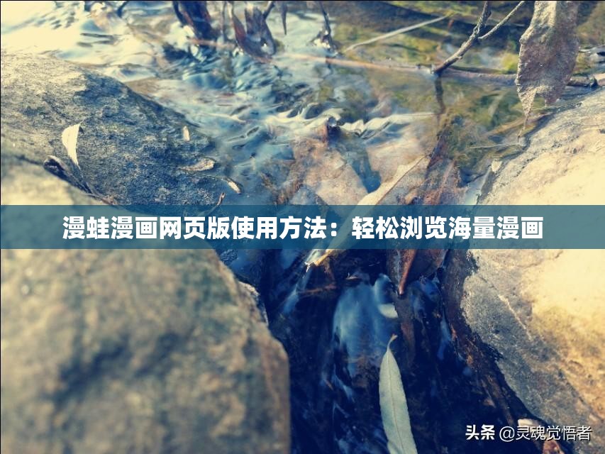 漫蛙漫画网页版使用方法：轻松浏览海量漫画