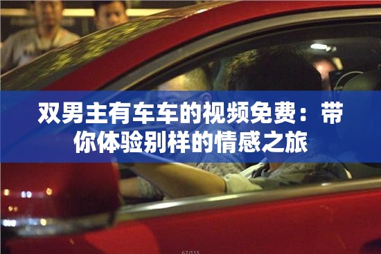 双男主有车车的视频免费：带你体验别样的情感之旅