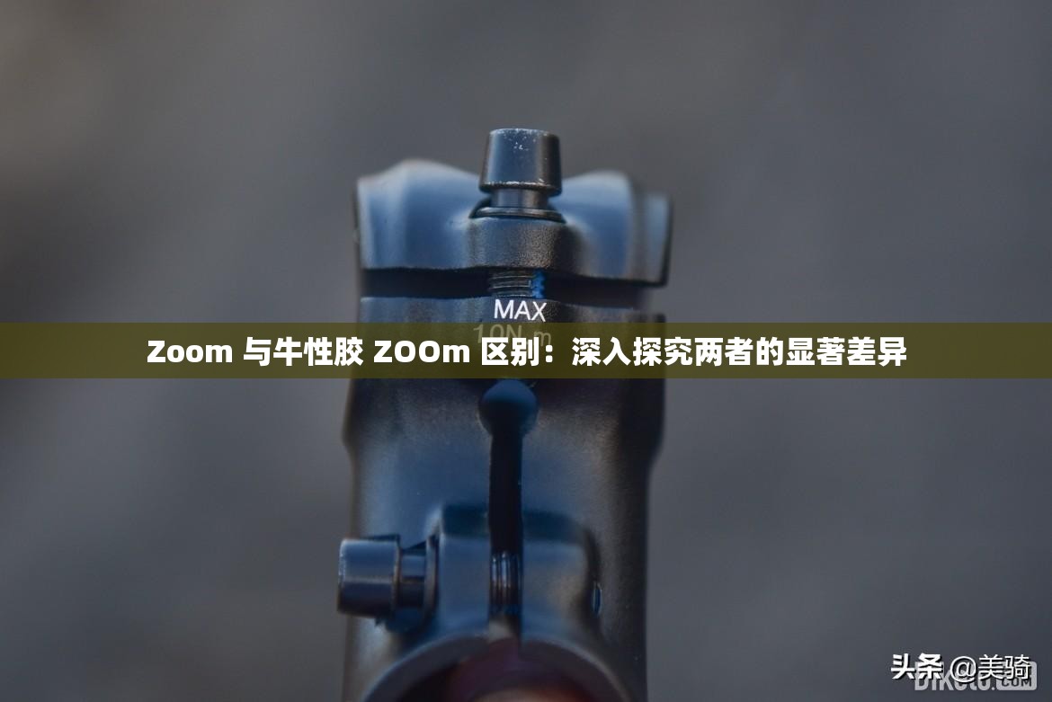Zoom 与牛性胶 ZOOm 区别：深入探究两者的显著差异