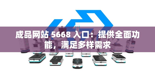 成品网站 5668 入口：提供全面功能，满足多样需求