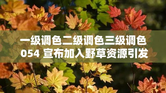 一级调色二级调色三级调色 054 宣布加入野草资源引发关注