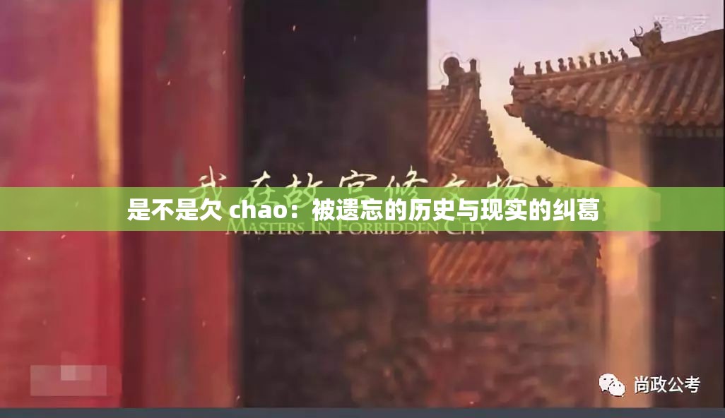 是不是欠 chao：被遗忘的历史与现实的纠葛
