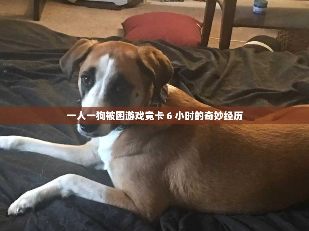 一人一狗被困游戏竟卡 6 小时的奇妙经历