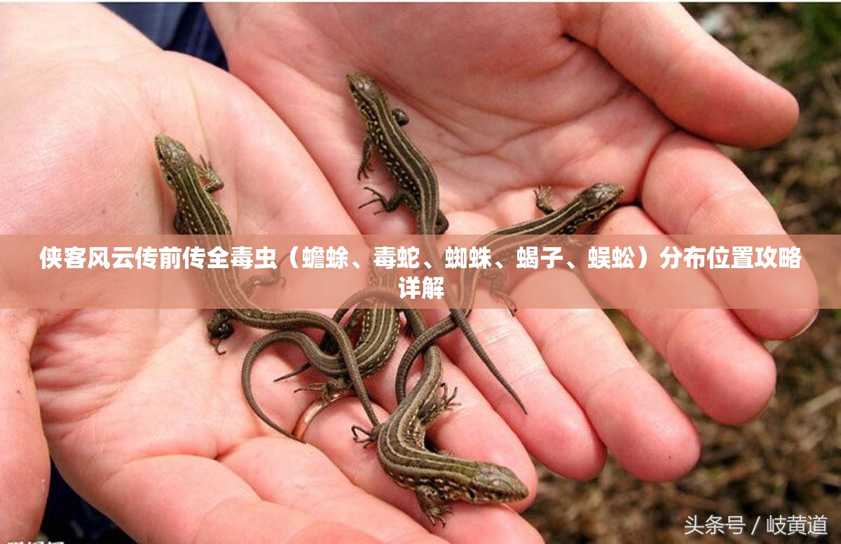 侠客风云传前传全毒虫（蟾蜍、毒蛇、蜘蛛、蝎子、蜈蚣）分布位置攻略详解