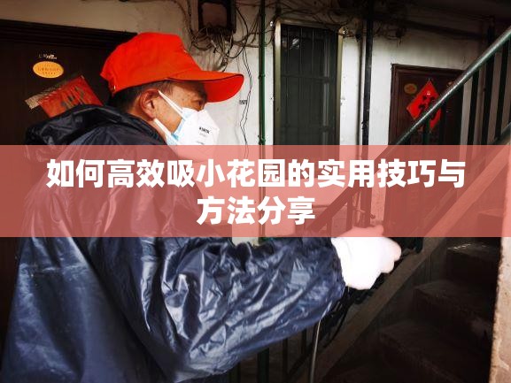 如何高效吸小花园的实用技巧与方法分享