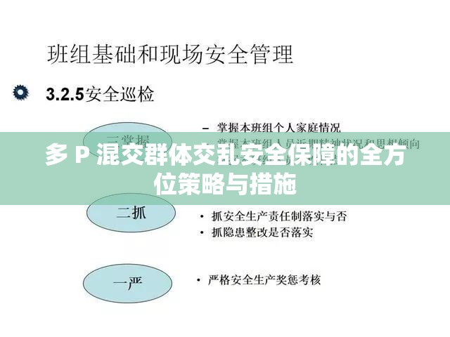 多 P 混交群体交乱安全保障的全方位策略与措施
