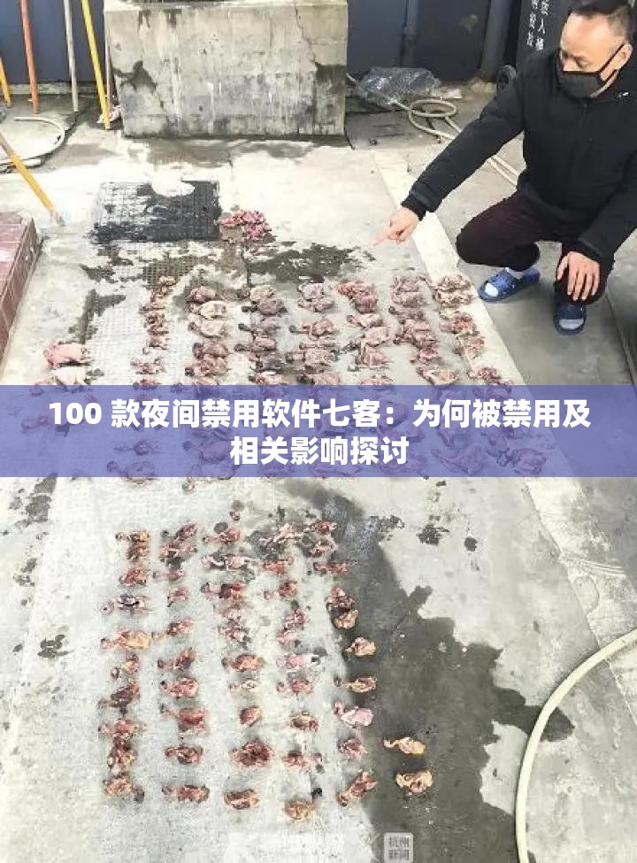 100 款夜间禁用软件七客：为何被禁用及相关影响探讨