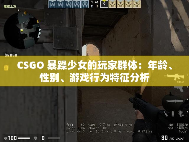 CSGO 暴躁少女的玩家群体：年龄、性别、游戏行为特征分析