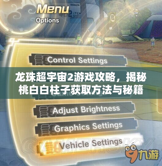 龙珠超宇宙2游戏攻略，揭秘桃白白柱子获取方法与秘籍详解