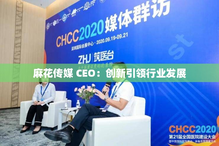 麻花传媒 CEO：创新引领行业发展