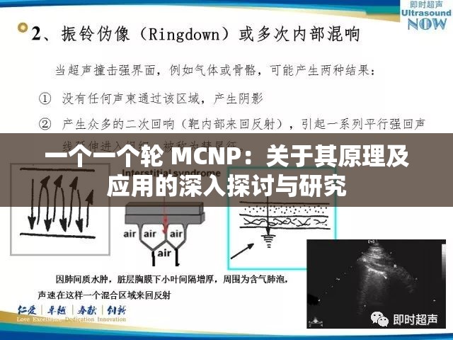 一个一个轮 MCNP：关于其原理及应用的深入探讨与研究