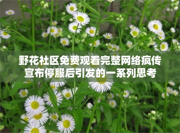 野花社区免费观看完整网络疯传宣布停服后引发的一系列思考