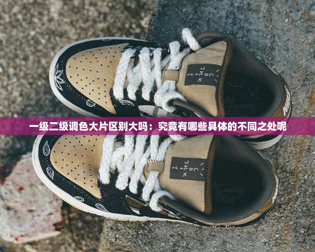 一级二级调色大片区别大吗：究竟有哪些具体的不同之处呢