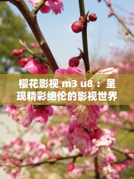 樱花影视 m3 u8 ：呈现精彩绝伦的影视世界