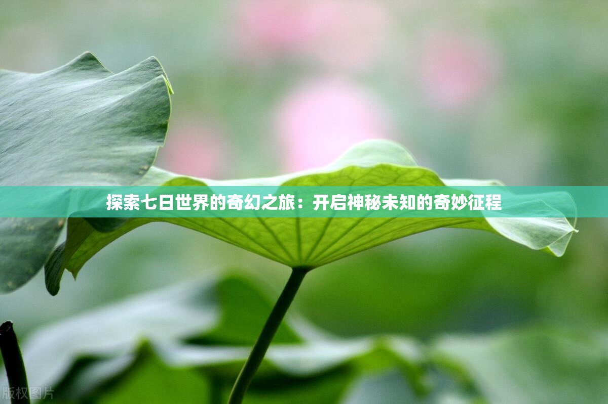 探索七日世界的奇幻之旅：开启神秘未知的奇妙征程