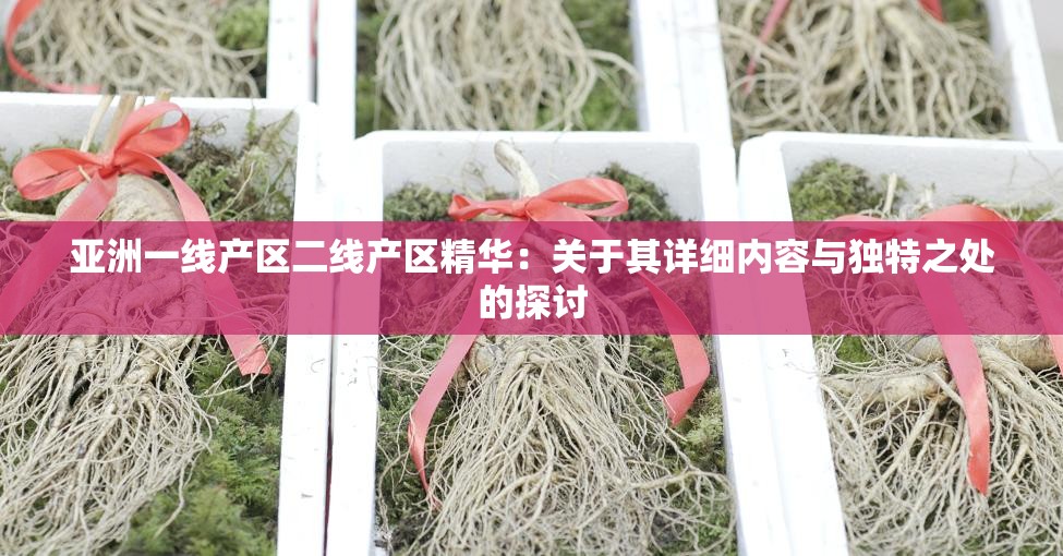 亚洲一线产区二线产区精华：关于其详细内容与独特之处的探讨