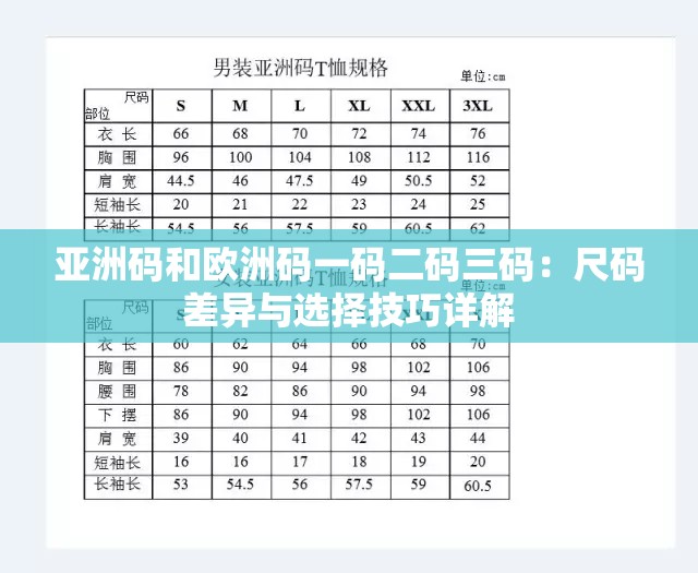 亚洲码和欧洲码一码二码三码：尺码差异与选择技巧详解