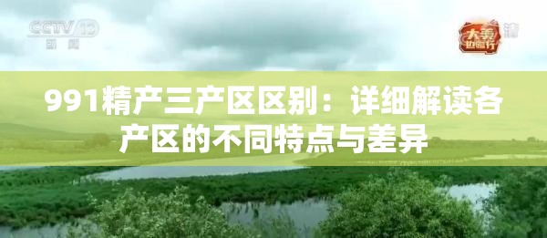 991精产三产区区别：详细解读各产区的不同特点与差异