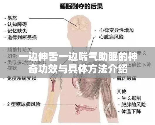 一边伸舌一边喘气助眠的神奇功效与具体方法介绍