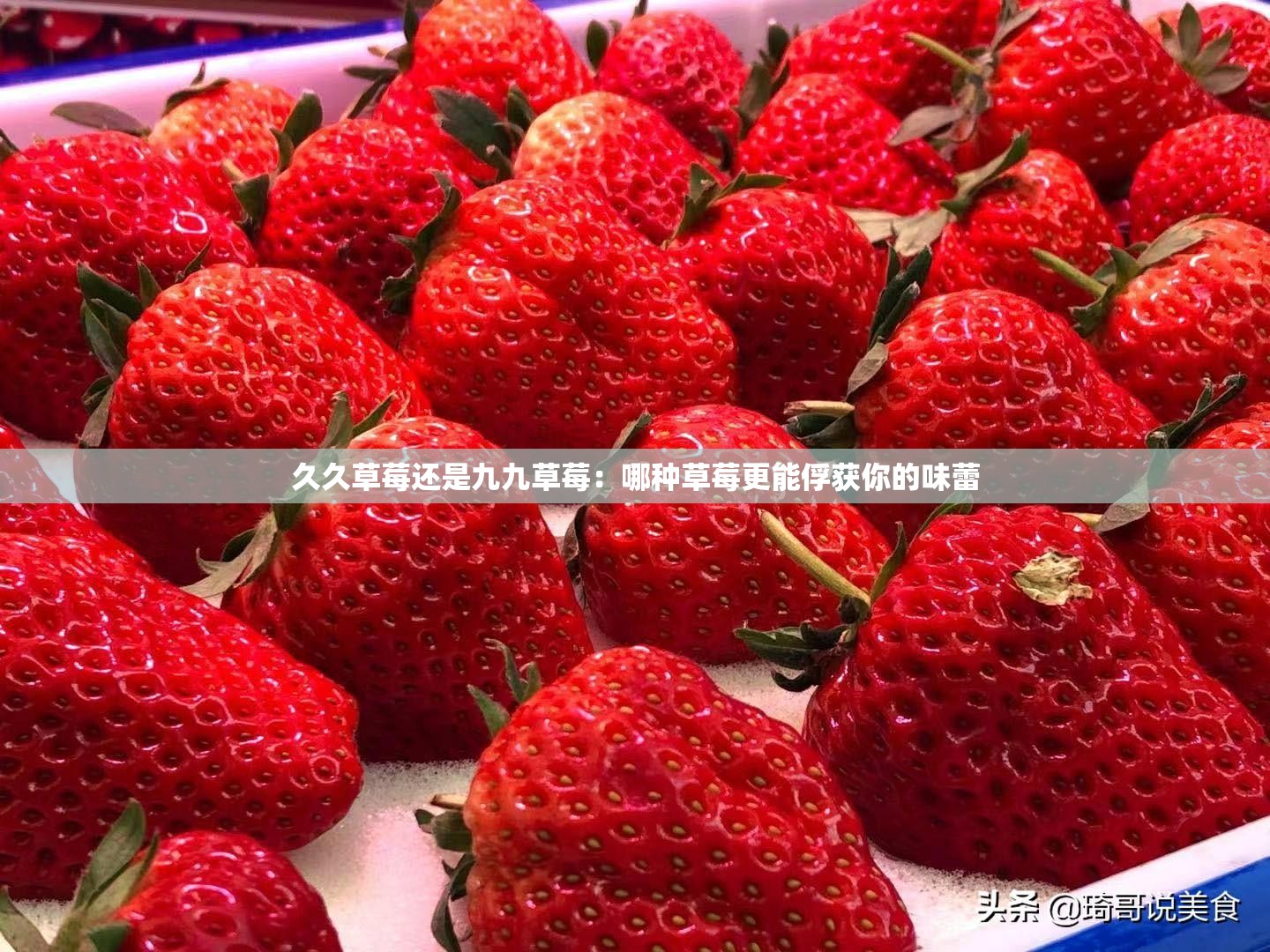 久久草莓还是九九草莓：哪种草莓更能俘获你的味蕾