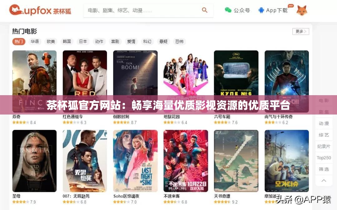 茶杯狐官方网站：畅享海量优质影视资源的优质平台