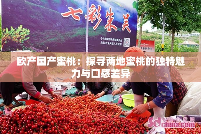 欧产国产蜜桃：探寻两地蜜桃的独特魅力与口感差异