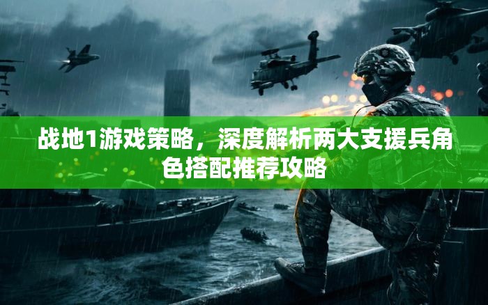 战地1游戏策略，深度解析两大支援兵角色搭配推荐攻略
