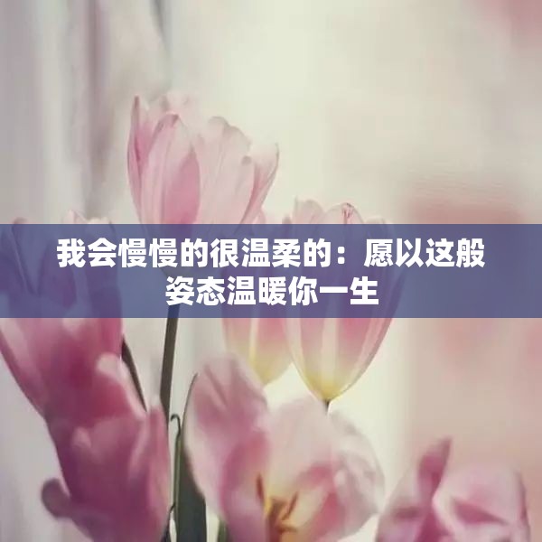 我会慢慢的很温柔的：愿以这般姿态温暖你一生