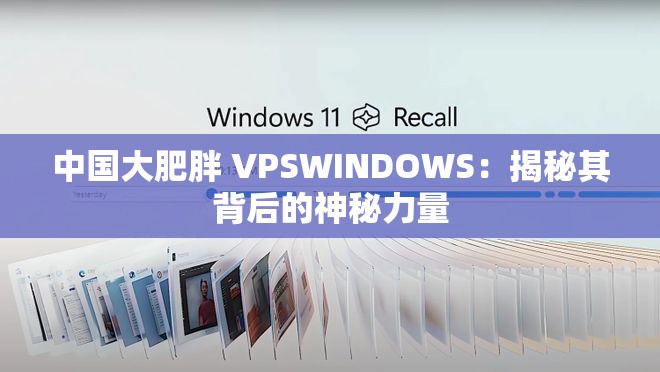 中国大肥胖 VPSWINDOWS：揭秘其背后的神秘力量