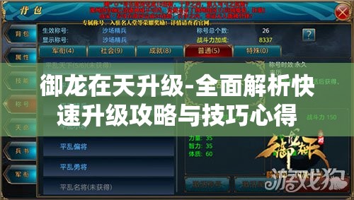 御龙在天升级-全面解析快速升级攻略与技巧心得