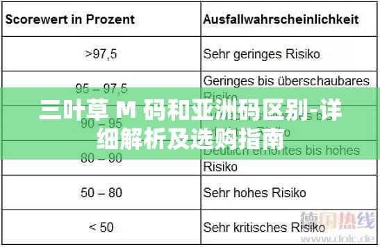 三叶草 M 码和亚洲码区别-详细解析及选购指南