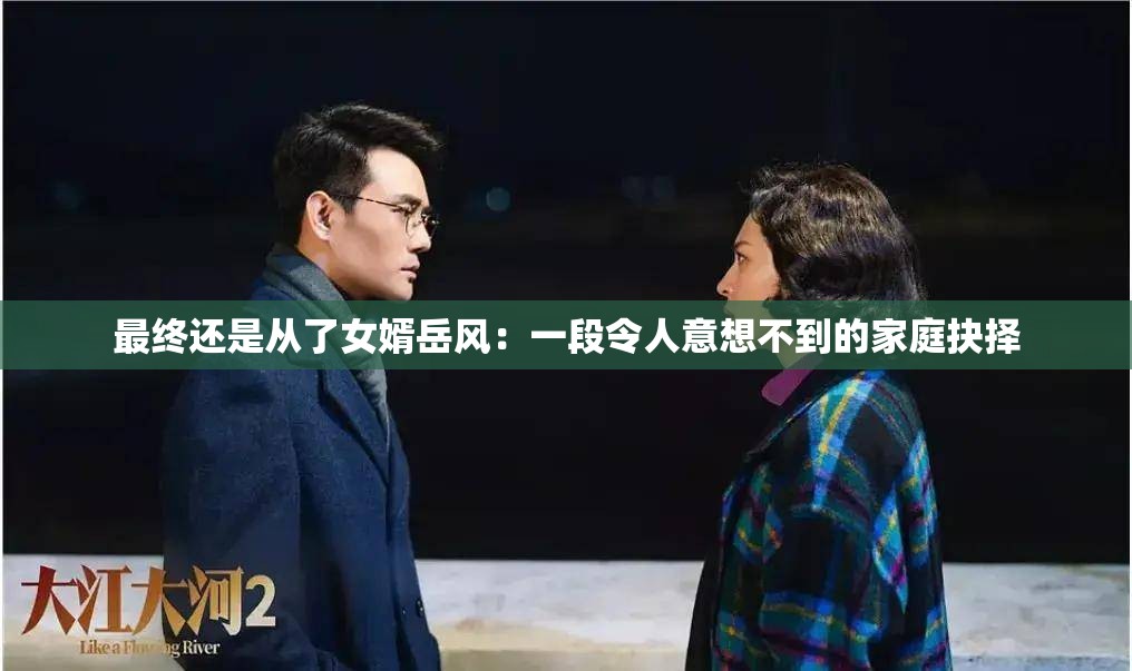最终还是从了女婿岳风：一段令人意想不到的家庭抉择
