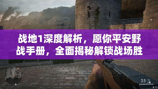 战地1深度解析，愿你平安野战手册，全面揭秘解锁战场胜利的关键策略