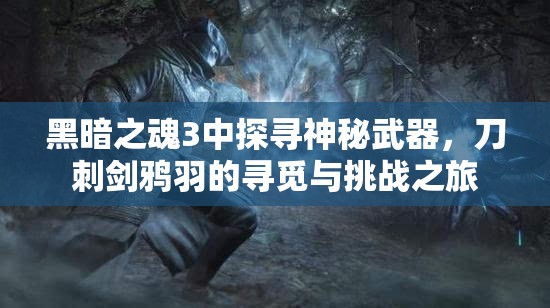 黑暗之魂3中探寻神秘武器，刀刺剑鸦羽的寻觅与挑战之旅