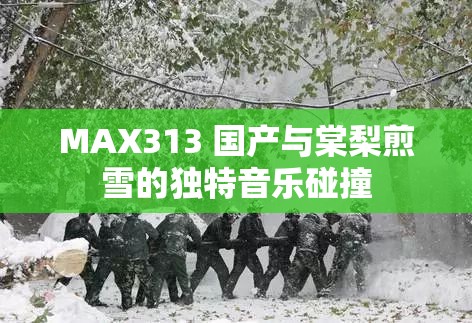 MAX313 国产与棠梨煎雪的独特音乐碰撞